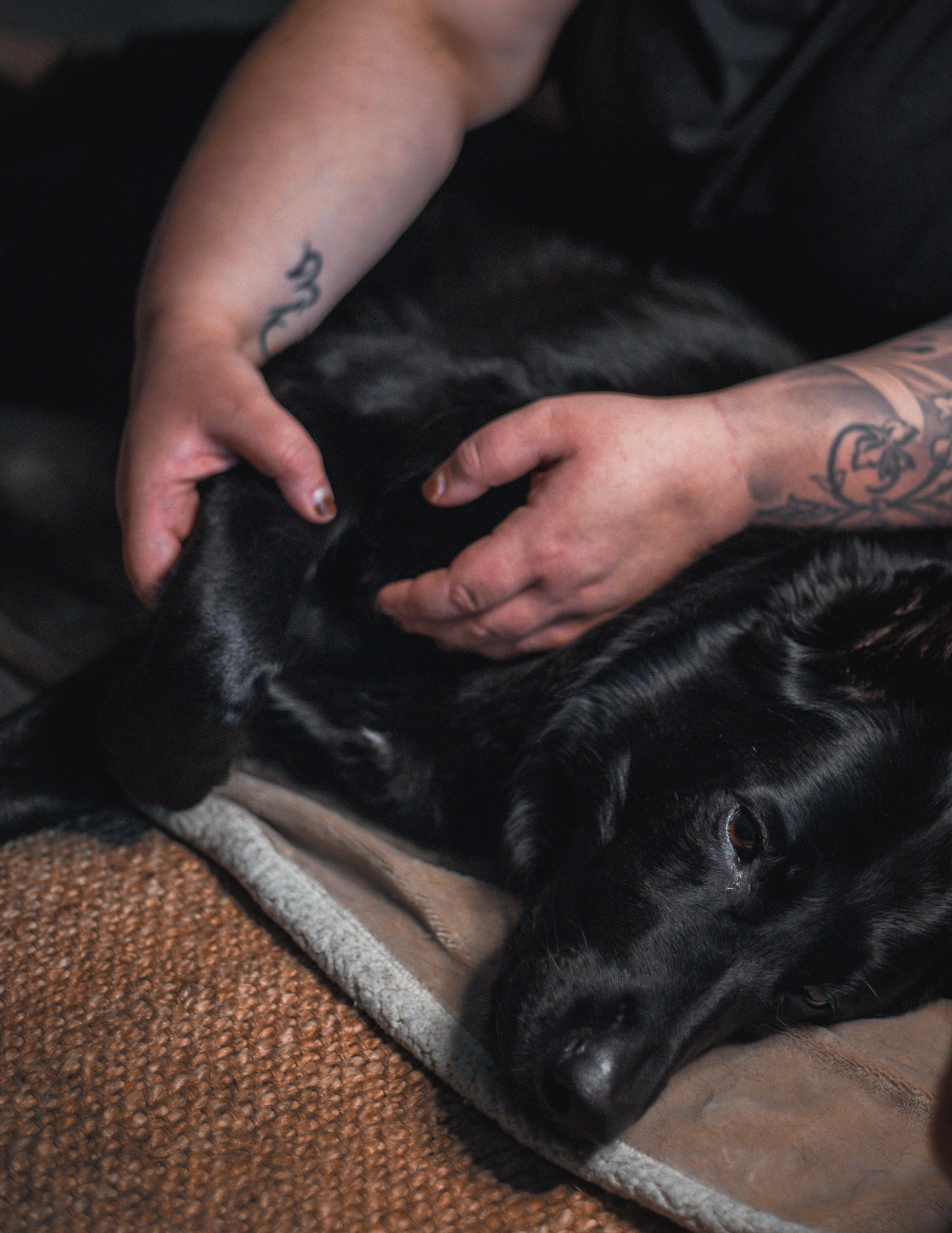 © riinaihanamakiphotography